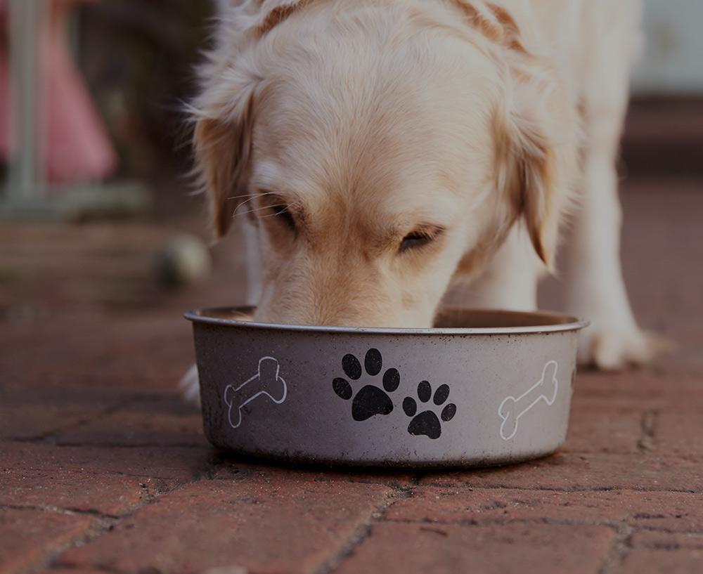ROTATIONAL FEEDING