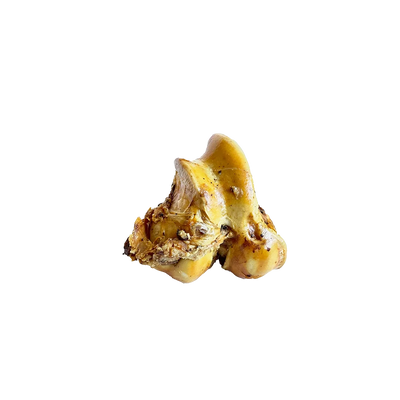 Beef Cattle Cured Knuckle Bone