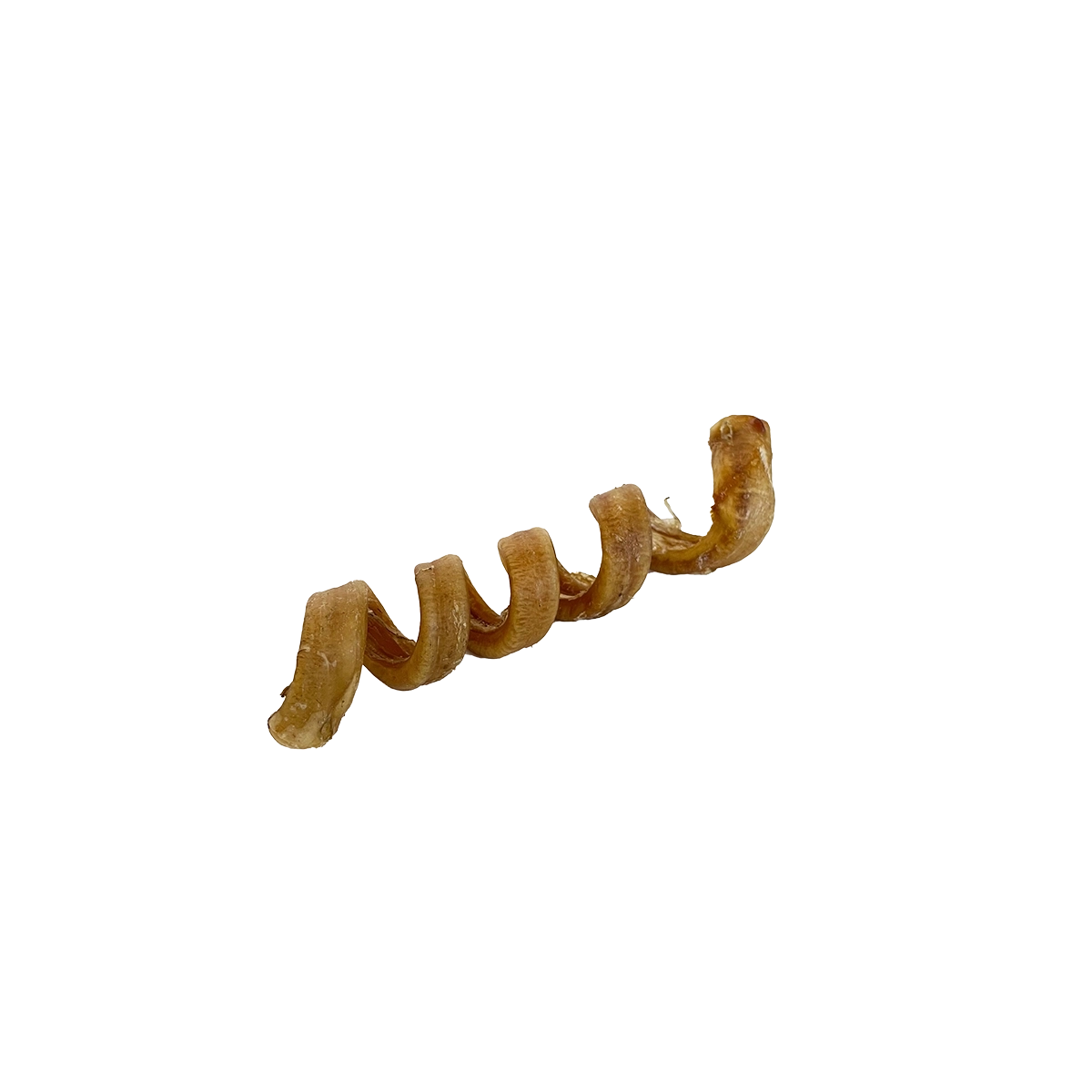 Water Buffalo Bully Spiral 6-7"