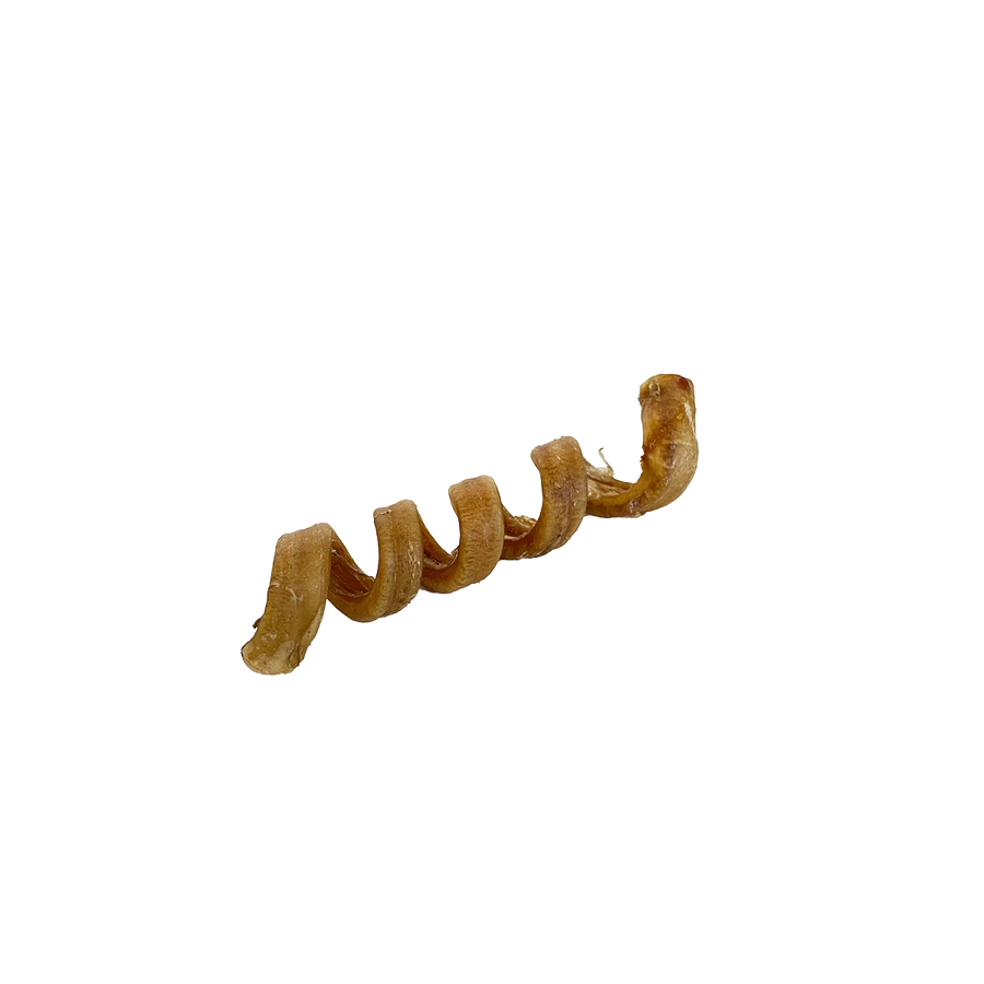 Water Buffalo Bully Spiral 6-7"