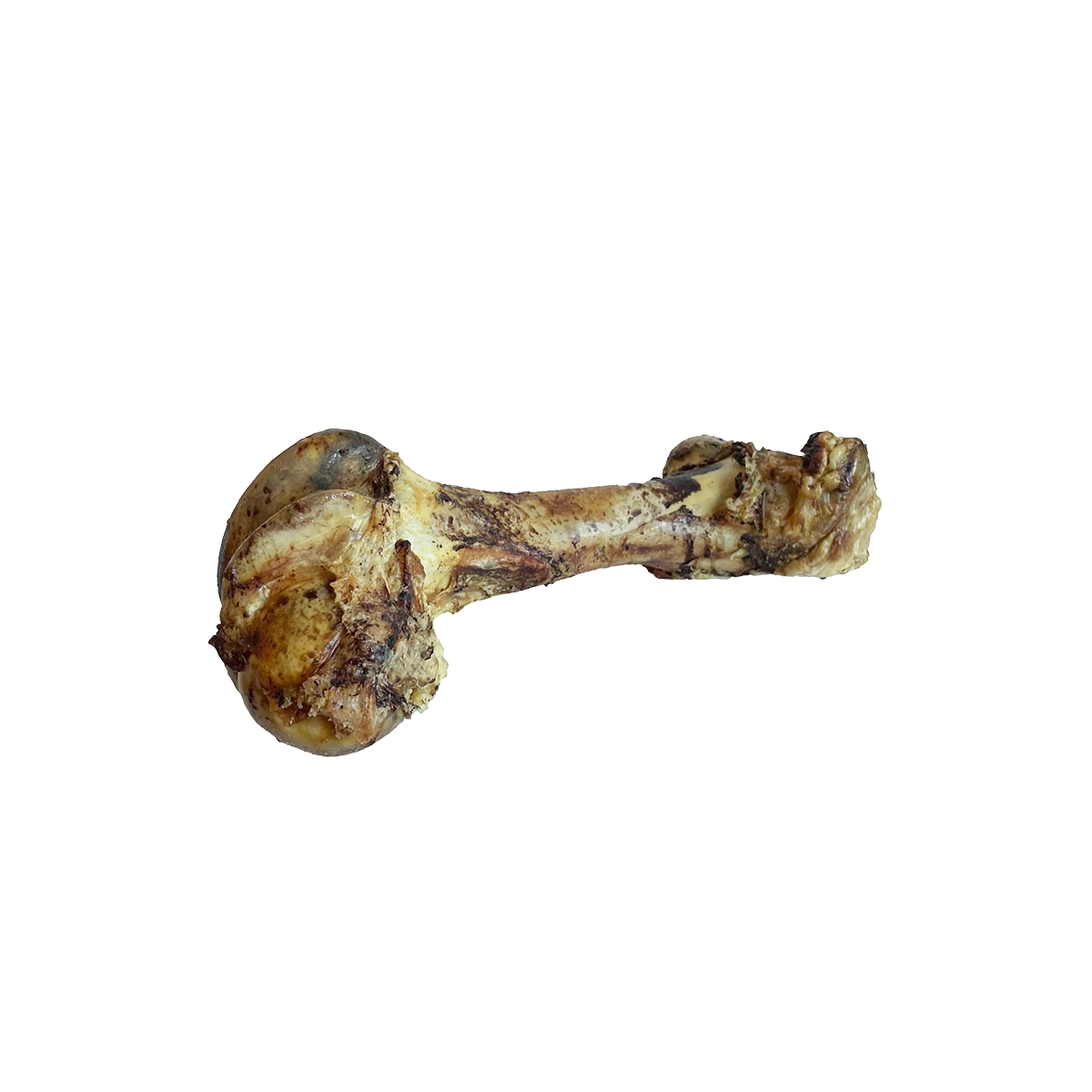 Dino bones best sale for dogs