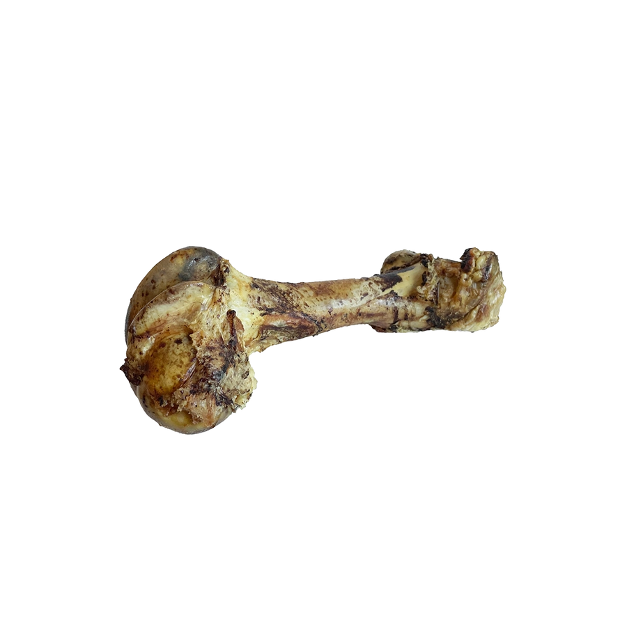 Beef Cattle Cured Dino Bone