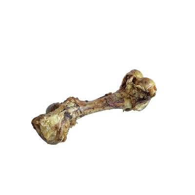 Beef Cured Dino Bone