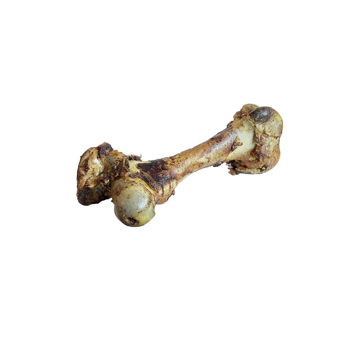 Dino bone for dogs best sale